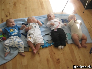 Miniature af billede nummer 229