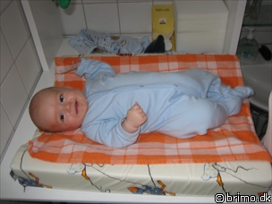 Miniature af billede nummer 230