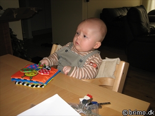 Miniature af billede nummer 234