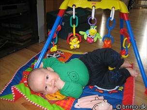 Miniature af billede nummer 235