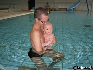 Miniature af billede nummer 239