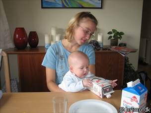 Miniature af billede nummer 243