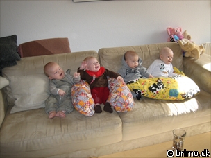 Miniature af billede nummer 247