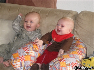 Miniature af billede nummer 248