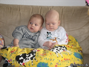 Miniature af billede nummer 249