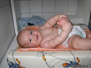 Miniature af billede nummer 255