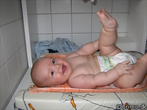 Miniature af billede nummer 257