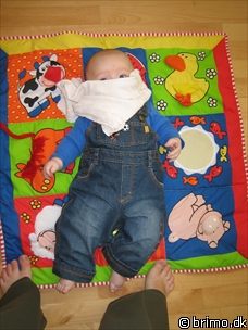 Miniature af billede nummer 262