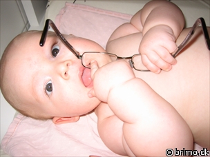 Miniature af billede nummer 268