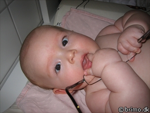 Miniature af billede nummer 269