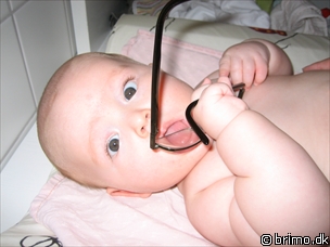 Miniature af billede nummer 270