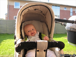 Miniature af billede nummer 274