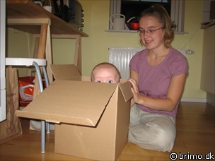 Miniature af billede nummer 277