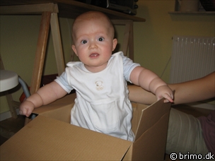 Miniature af billede nummer 278