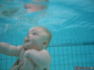 Miniature af billede nummer 272