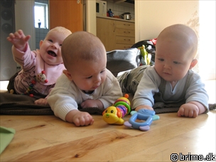 Miniature af billede nummer 281