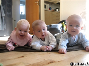 Miniature af billede nummer 282