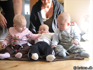 Miniature af billede nummer 283