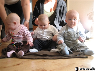 Miniature af billede nummer 284