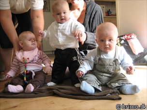 Miniature af billede nummer 285