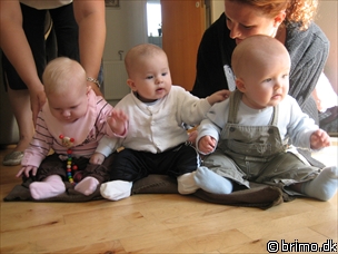 Miniature af billede nummer 286