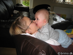 Miniature af billede nummer 291