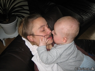 Miniature af billede nummer 294