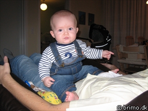 Miniature af billede nummer 296