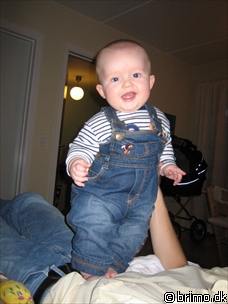 Miniature af billede nummer 297