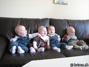 Miniature af billede nummer 298