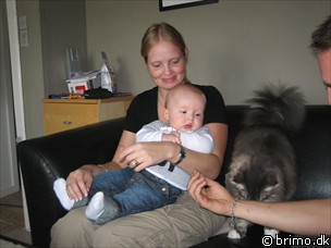 Miniature af billede nummer 302