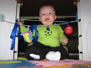 Miniature af billede nummer 308