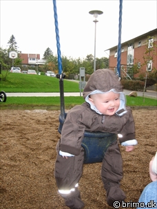 Miniature af billede nummer 309