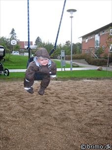 Miniature af billede nummer 310