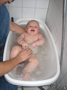 Miniature af billede nummer 312