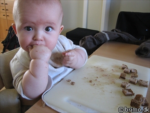 Miniature af billede nummer 313