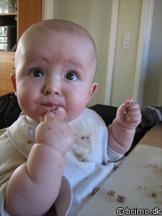 Miniature af billede nummer 314