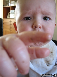 Miniature af billede nummer 315