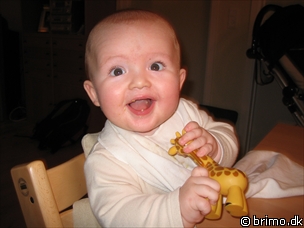 Miniature af billede nummer 316