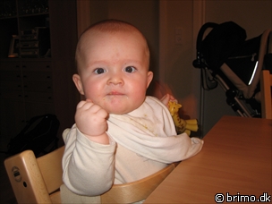 Miniature af billede nummer 318