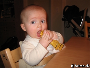 Miniature af billede nummer 320