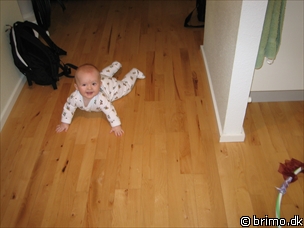 Miniature af billede nummer 325