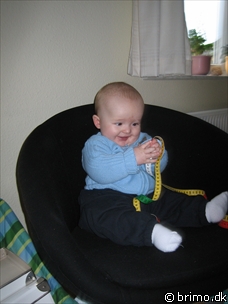 Miniature af billede nummer 326