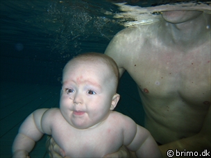 Miniature af billede nummer 328