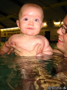 Miniature af billede nummer 329