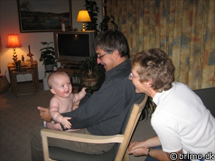 Miniature af billede nummer 331