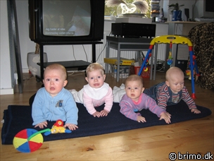 Miniature af billede nummer 332