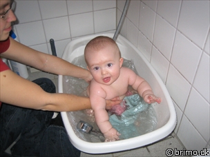 Miniature af billede nummer 333