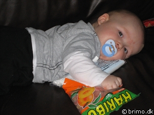 Miniature af billede nummer 335