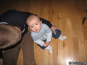 Miniature af billede nummer 336